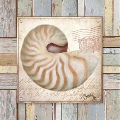 Beach Shell III Poster Print by Elizabeth Medley - Item # VARPDX9341