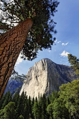 California, Yosemite View of El Capitan landmark by Dennis Flaherty - Item # VARPDXUS05BJY0060