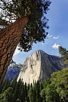 California, Yosemite View of El Capitan landmark by Dennis Flaherty - Item # VARPDXUS05BJY0060