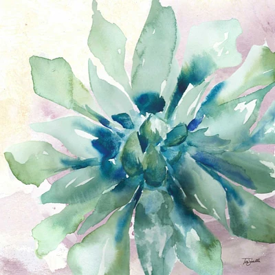 Succulent Watercolor III Poster Print by Tre Sorelle Studios - Item # VARPDXRB11869TS