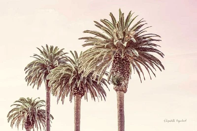 Pastel Palms by Elizabeth Urquhart - Item # VARPDX67332