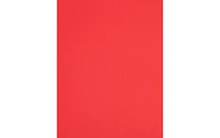 PA Paper Accents Muslin Cardstock 8.5" x 11" Cherry Red, 73lb colored cardstock paper for card making, scrapbooking, printing, quilling and crafts, 25 piece pack