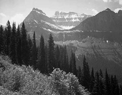 Trees, Bushes and Mountains, Glacier National Park, Montana - National Parks and Monuments, 1941 Poster Print by Ansel Adams - Item # VARPDX460723