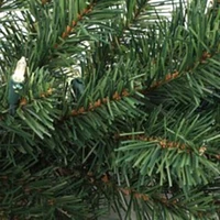 Set of 2: 9ft Pre-Lit Northern Spruce Pine Garland | 240 Lifelike Tips & 50 Plug-In Lights | Indoor Use | Holiday Decor | Table & Mantel | Christmas Garlands | Home & Office Decor