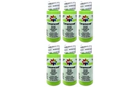 Delta Ceramcoat Acrylic 2oz Gecko 6pc