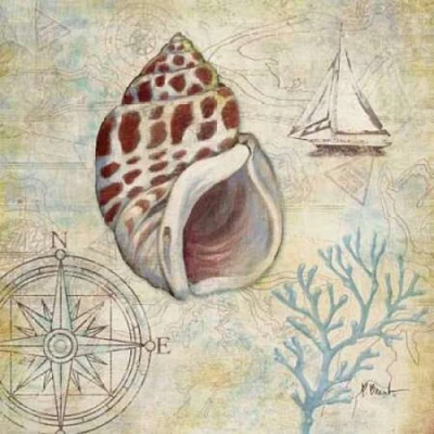 Discovery Shell IV Poster Print by Paul Brent - Item # VARPDXBNT483
