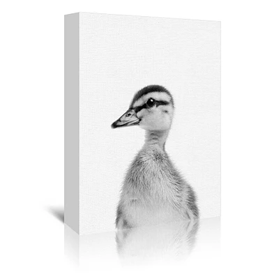 Baby Duck by NUADA Gallery Wrapped Canvas