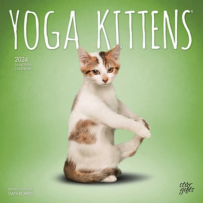 Yoga Kittens OFFICIAL | 2024 12 x 24 Inch Monthly Square Wall Calendar | Sticker Sheet | StarGifts | Animals Humor Cats Feline