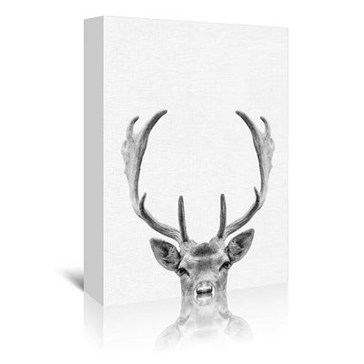 Deer by NUADA Gallery Wrapped Canvas