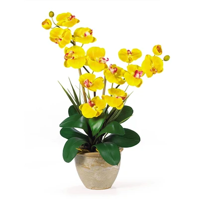 Double Stem Phalaenopsis Orchid Artificial Flower Arrangement 25”