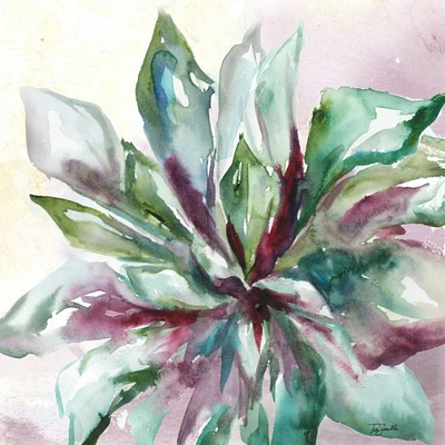 Succulent Watercolor II Poster Print by Tre Sorelle Studios - Item # VARPDXRB11868TS