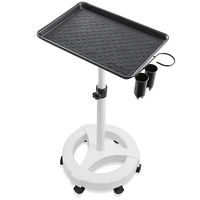 Saloniture Rolling Salon Aluminum Instrument Tray - Portable Hair Stylist Trolley with Accessory Caddy and Mat