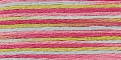 DMC Coloris 6-Strand Embroidery Cotton Floss 8.7yd
