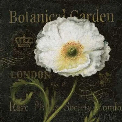 Botanical Garden II Poster Print by Daphne Brissonnet - Item # VARPDX6571