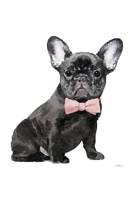 Frenchie I Poster Print by Amanda Greenwood # AGD116451