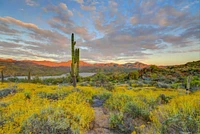 AZ, Lake Bartlett Sunset on desert landscape by Fred Lord - Item # VARPDXUS03BJA0143