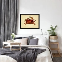 Mud Crab by Coastal Print & Design Frame  - Americanflat