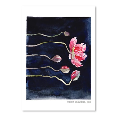 Blooms On Black by Claudia Libenberg Poster Art Print