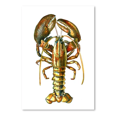 Lobster by T.J. Heiser  Poster Art Print - Americanflat