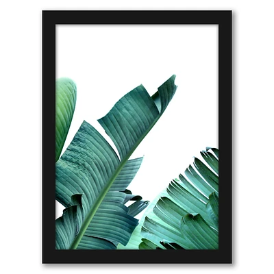 Banana Leaf by Tanya Shumkina Frame  - Americanflat