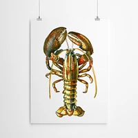 Lobster by T.J. Heiser  Poster Art Print - Americanflat