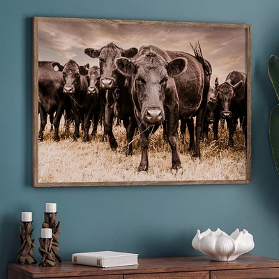Angus cow canvas, western wall art, cattle photo print, funny cow photography, ranch home decor, cow wall art, cowboy nursery, ready to hang