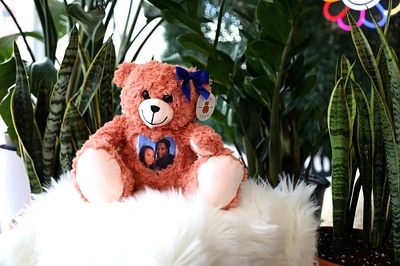 Personalized Pink Strawberry Teddy Bear | Photo Teddy Bear | Voice Recording Bear