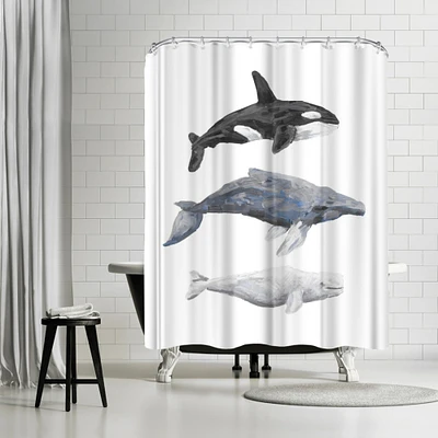 Whale Painting Trio 1 by Jetty Printables Shower Curtain 71" x 74"