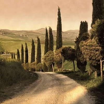 Country Lane Tuscany Poster Print by Elizabeth Carmel - Item # VARPDXC534D