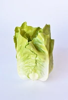 5" Faux Head of Lettuce