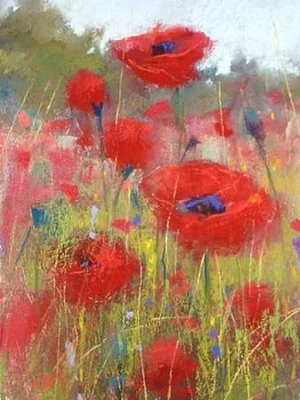 In the Poppy Field Poster Print by Karen Margulis - Item # VARPDXM1228D