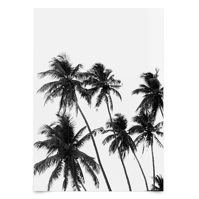 Palms in Black and White by Tanya Shumkina  Poster - Americanflat