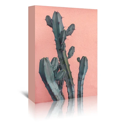 Cactus On Pink Wall by Emanuela Carratoni  Gallery Wrapped Canvas - Americanflat