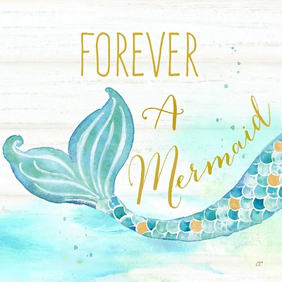 Mermaid Tale I Poster Print by Cynthia Coulter - Item # VARPDXRB12688CC