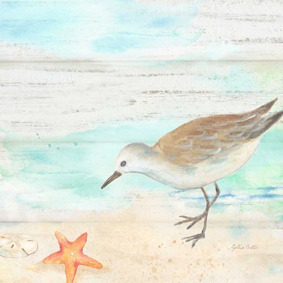 Sandpiper Beach II Poster Print by Cynthia Coulter - Item # VARPDXRB11883CC