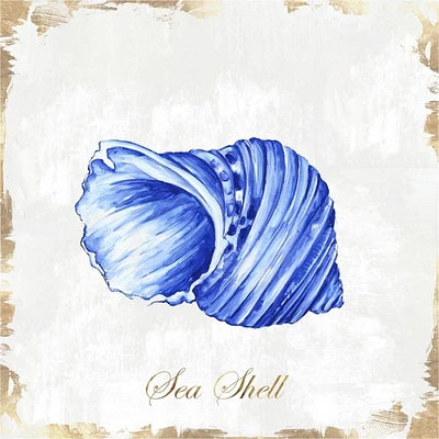 Blue Seashell Poster Print by Eva Watts - Item # VARPDXEW140A