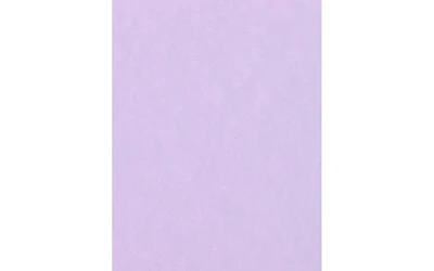 PA Paper Accents Smooth Cardstock 8.5" x 11" Lavender, 65lb colored cardstock paper for card making, scrapbooking, printing, quilling and crafts, 1000 piece pack