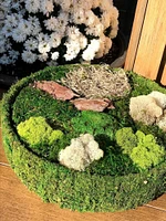 DIY Fairy Garden Preserved Moss Kit