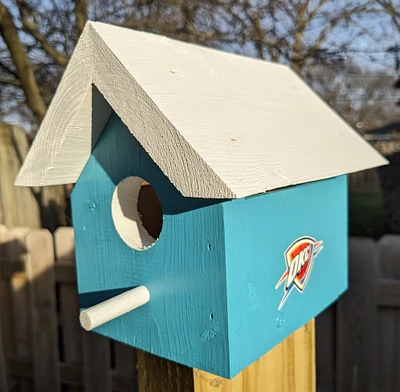 Oklahoma Thunder Bird House