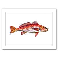 Redfish by T.J. Heiser Frame  - Americanflat