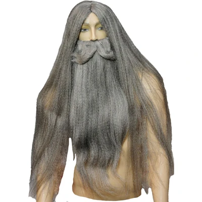 The Costume Center Gray Wizard Men Adult Halloween Wig Costume Accessory - One Size