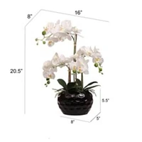 20" Artificial White Phalaenopsis Orchid Arrangement in Black Ceramic Dimple Vase