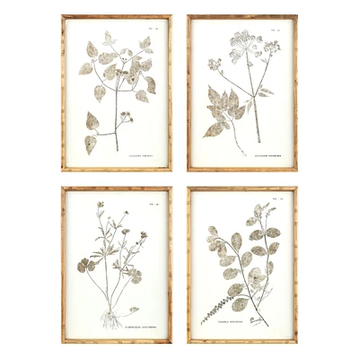 Melrose Set of 4 Brown and White Framed Encyclopedia Floral Rectangular Wall Art 19.5" x 27.5"