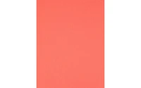 PA Paper Accents Textured Cardstock 8.5" x 11" Sunset Rose, 73lb colored cardstock paper for card making, scrapbooking, printing, quilling and crafts, 1000 piece pack