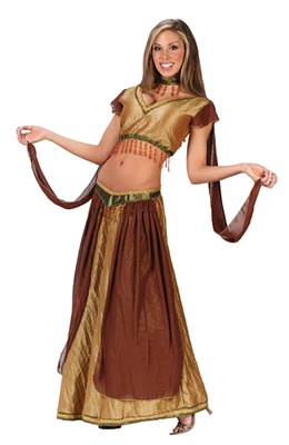 Fun World Brown and Gold Desert Princess Adult Halloween Costume - Women's Large