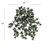 Mini Green & White English Ivy Bush by Floral Home®