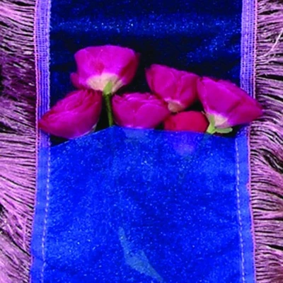The Ribbon People Royal Blue with Pink Frills Pocket Craft Ribbon 4" x 16.4 Yards