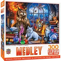 MasterPieces Medley - Caretakers of the Study 300 Piece EZ Grip Puzzle