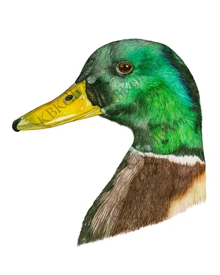 Duck Watercolor Print Mallard Duck Wall Art Duck Painting Duck Hunting Home Decor Duck Gifts Duck Art Print Duck Artwork Green Duck Portrait