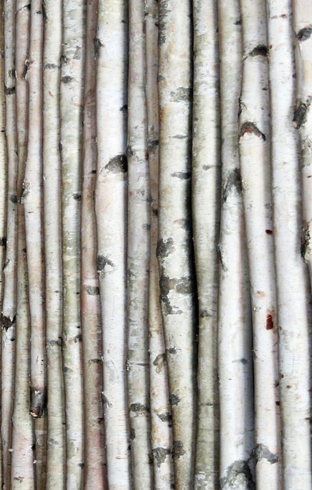 Wilson White Birch Poles 3, 4, 5, 6, 7, & 8 ft lengths